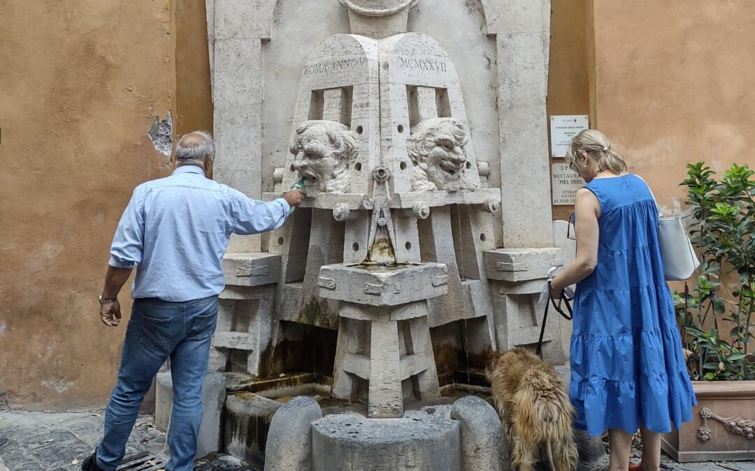 Fontanny dzielnicowe Rzymu czyli fontane rionali
