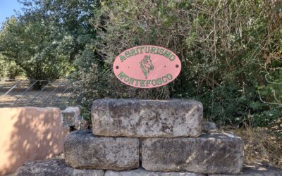 Agriturismo Montefosco – agroturystyka wśród orzechów laskowych