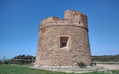 Rezerwat przyrody w pobliżu Rzymu – Tor Caldara