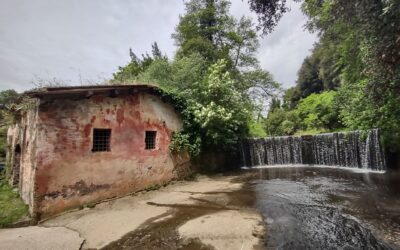 Nieznane Lacjum – park regionalny i muzeum archeologiczne starożytnych Wejów